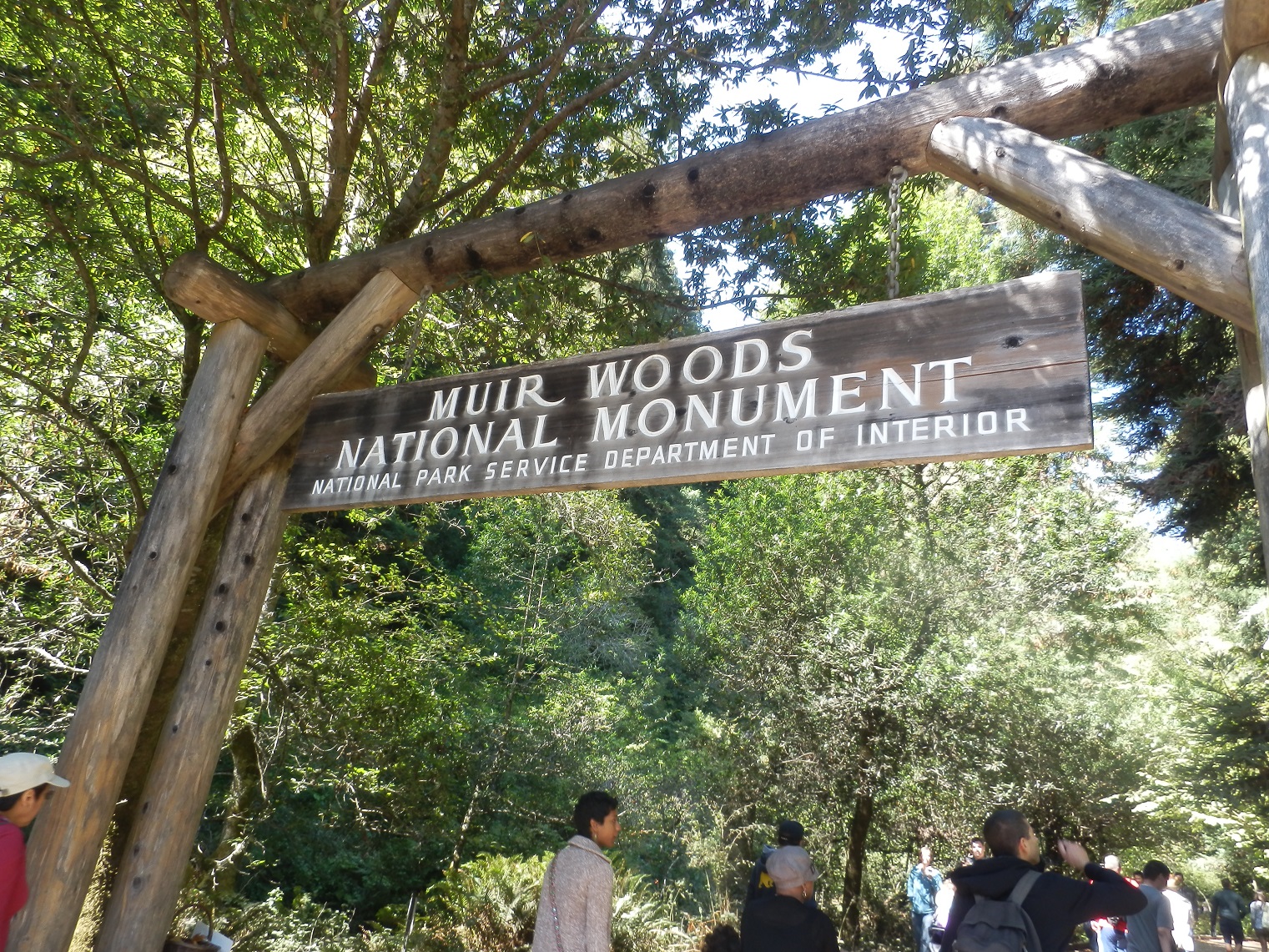 ミュアウッズ国定公園 Muir Woods National Monument Blue Sky Stanford Lifeblue Sky Stanford Life